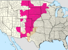 Mapa mostra riscos de incêndio florestal em todo o país enquanto casas são destruídas Mapa mostra riscos de incêndio florestal em todo o país enquanto casas são destruídas