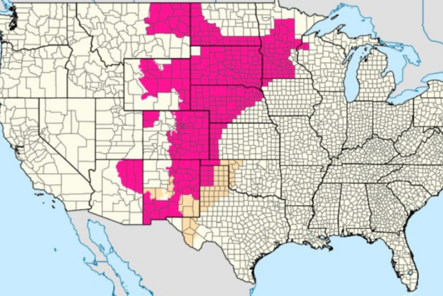 Mapa mostra riscos de incêndio florestal em todo o país enquanto casas são destruídas
