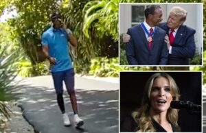 Megyn Kelly chama Tiger Woods de ‘idiota’ por ligar para Trump durante apreensão por dirigir alcoolizado Megyn Kelly chama Tiger Woods de 'idiota' por ligar para Trump durante apreensão por dirigir alcoolizado