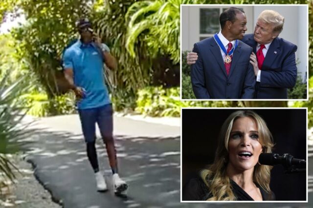 Megyn Kelly chama Tiger Woods de 'idiota' por ligar para Megyn Kelly chama Tiger Woods de 'idiota' por ligar para Trump durante apreensão por dirigir alcoolizado