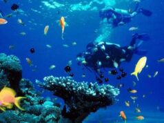 Mengintip Dunia Bawah Laut Tanpa Harus Mergulho! Mengintip Dunia Bawah Laut Tanpa Harus Mergulho!