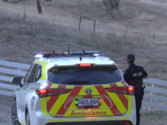 Menina, 7 anos, lutando pela vida após acidente em Adelaide Menina, 7 anos, lutando pela vida após acidente em Adelaide