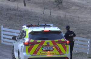 Menina, 7 anos, lutando pela vida após acidente em Adelaide Menina, 7 anos, lutando pela vida após acidente em Adelaide