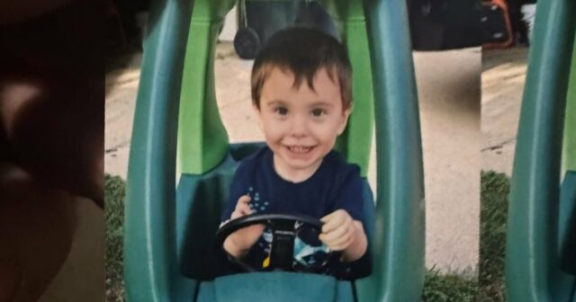 Cão da vizinhança do Departamento de Polícia Metropolitana de Louisville leva policiais ao menino desaparecido de 3 anos