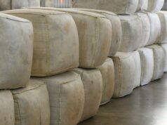 Mercado de lã atinge níveis de 2019 e sinais permanecem positivos para preços Mercado de lã atinge níveis de 2019 e sinais permanecem positivos para preços