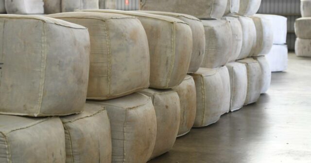 Mercado de lã atinge níveis de 2019 e sinais permanecem positivos para preços
