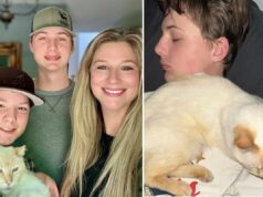 Milagre quando o gato da Califórnia chamado Dodger, que foi perdido há sete anos, encontra o caminho de volta para a família a 4.000 quilômetros de distância Milagre quando o gato da Califórnia chamado Dodger, que foi perdido há sete anos, encontra o caminho de volta para a família a 4.000 quilômetros de distância