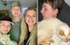 Milagre quando o gato da Califórnia chamado Dodger, que foi perdido há sete anos, encontra o caminho de volta para a família a 4.000 quilômetros de distância Milagre quando o gato da Califórnia chamado Dodger, que foi perdido há sete anos, encontra o caminho de volta para a família a 4.000 quilômetros de distância