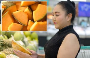 Milhares de melões recolhidos devido a preocupações com salmonela Milhares de melões recolhidos devido a preocupações com salmonela