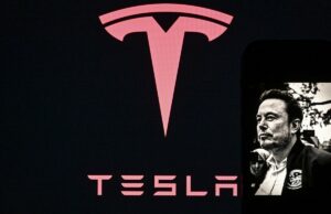 Mobilidade TechCrunch: admissão de Elon gato piscante pássaro verde