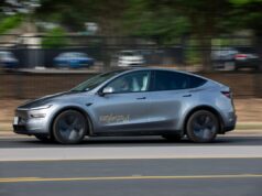 Mobilidade TechCrunch: ‘Uma impressionante falta de transparência’ gato piscante pássaro verde