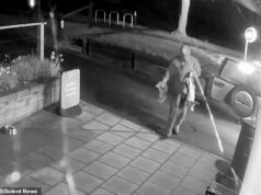 Momento chocante em que homens jogam 50 lebres, francelhos e corujas mortos do lado de fora da bela loja da vila para transformá-la em uma ‘cena de filme de terror’ Os promotores dizem que o incidente chocante durou apenas três minutos e envolveu dois outros homens que foram vistos no CCTV, mas não foram acusados.