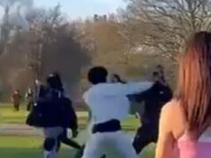 Momento da briga que deixou um homem de 21 anos morto e outro no hospital irrompe em Primrose Hill enquanto ‘multidões se deliciavam ao sol’ Este é o momento terrível em que uma briga começa no sofisticado Primrose Hill, que levou à morte de um homem de 21 anos e outro levado às pressas para o hospital.