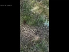 Momento dramático de ataque à maior ponte do Irã Yahoo news home