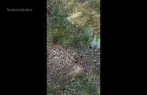 Momento dramático de ataque à maior ponte do Irã Yahoo news home