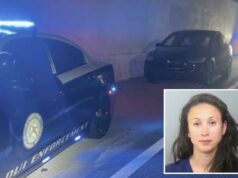 Motorista engessado encontrado dormindo em Tesla usando piloto automático – no meio de uma rodovia na Flórida Brown foi acusado de dirigir alcoolizado.