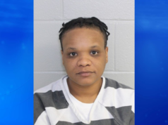 Mulher condenada a um ano de prisão após escapar da aplicação da lei em Norfolk Yahoo news home