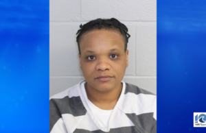 Mulher condenada a um ano de prisão após escapar da aplicação da lei em Norfolk Yahoo news home