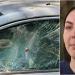 Mulher de Chicago diz que é uma cidade “louca” que não vai pagar pelos danos depois que um poste de 300 libras bateu em seu carro. Por que processar a Prefeitura é tão difícil