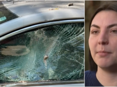 Mulher de Chicago diz que é uma cidade “louca” que não vai pagar pelos danos depois que um poste de 300 libras bateu em seu carro. Por que processar a Prefeitura é tão difícil Mulher de Chicago diz que é uma cidade “louca” que não vai pagar pelos danos depois que um poste de 300 libras bateu em seu carro. Por que processar a Prefeitura é tão difícil