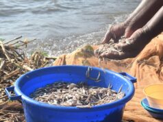 Mulheres quenianas desafiam tabus de pesca enquanto as alterações climáticas ameaçam o Lago Vitória Quênia