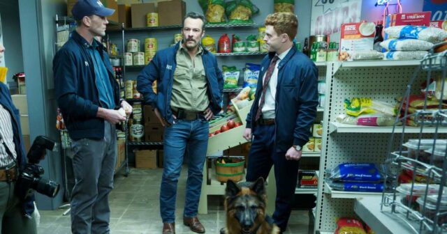 Amados animais de estimação dos programas de TV ao longo dos anos: fotos