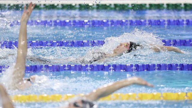 Nadadores russos e bielorrussos poderão competir com bandeira e hino após restrições retiradas pela World Aquatics

