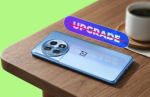 Não atualizei meu telefone este ano e não sinto que perdi nada Google Pixel 2 XL com um gato preto na tela inicial