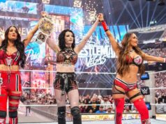 Nikki Garcia detalha lesão ‘dolorosa’ no tornozelo e perde partida na WrestleMania Nikki e Brie Bella 'sonham' em ganhar campeonatos de duplas da WWE