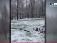 Nordeste atingido por neve repentina e temperaturas congelantes Yahoo news home