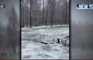 Nordeste atingido por neve repentina e temperaturas congelantes Yahoo news home