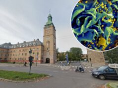 Norueguês é a décima pessoa a ser curada do HIV – graças ao seu irmão Imagem microscópica de uma célula T infectada pelo HIV.