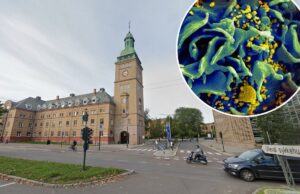 Norueguês é a décima pessoa a ser curada do HIV – graças ao seu irmão Imagem microscópica de uma célula T infectada pelo HIV.