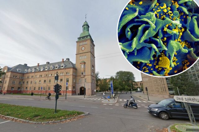 Imagem microscópica de uma célula T infectada pelo HIV.