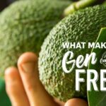 Nova campanha é lançada para promover a região de tigelas de comida das Florestas do Sul