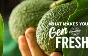 Nova campanha é lançada para promover a região de tigelas de comida das Florestas do Sul Nova campanha é lançada para promover a região de tigelas de comida das Florestas do Sul