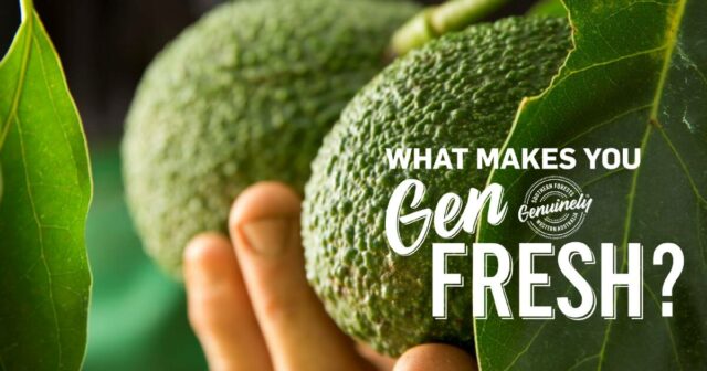 Nova campanha é lançada para promover a região de tigelas de comida das Florestas do Sul
