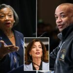 Os membros da Assembleia representam o Juramento de Fidelidade na Câmara da Assembleia no Capitólio do Estado de Nova York.