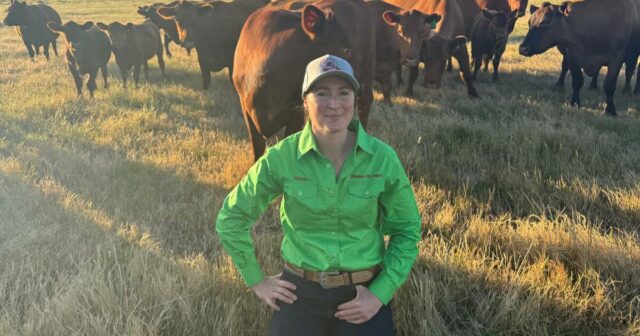 Novas ferramentas para enfrentar alguns dos maiores desafios pecuários da Costa Sul
