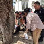 Nove mortos e 13 feridos no segundo tiroteio na Turquia em dois dias