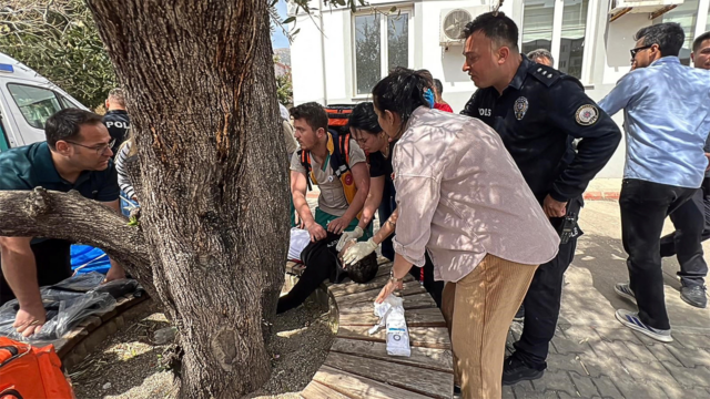 Nove mortos e 13 feridos no segundo tiroteio na Turquia Nove mortos e 13 feridos no segundo tiroteio na Turquia em dois dias