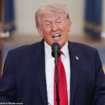 Crédito obrigatório: Foto de Pool/ABACA/Shutterstock (16812901ag) O presidente Donald Trump fala sobre a guerra do Irã no Cross Hall da Casa Branca na quarta-feira, 1º de abril de 2026, em Washington. Presidente Trump fala sobre a Guerra do Irã - DC, Washington, Estados Unidos - 01 de abril de 2026