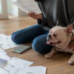 Um Schnauzer faminto come carne crua em um prato.