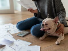 O ‘Padrão para Membros da Família’: Por que a petflação está levando os americanos a se endividarem por seus animais de estimação Um Schnauzer faminto come carne crua em um prato.