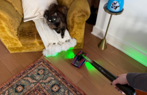 O PencilVac ultraleve e laser duplo da Dyson acaba de atingir um preço recorde na Amazon Aspirador sem fio Dyson PencilVac Fluffycones