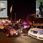 O alerta assustador da polícia para um verão sangrento, à medida que a depravação das infernais invasões nas ruas de Los Angeles revela: 'Estupros, tiroteios, assassinatos'