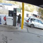A polícia do Norte do País de Gales divulgou na semana passada imagens de uma mulher vestida de pijama que é procurada por suposto roubo de gasolina em Gwynedd