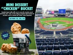 O balde de sorvete de ‘frango’ viral está de volta ao Yankee Stadium – é aqui que os fãs podem obtê-lo Um Yankee Stadium vazio visto das arquibancadas.