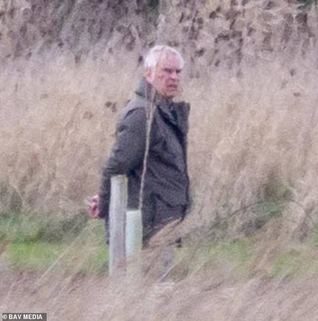 O carrancudo Andrew Mountbatten-Windsor parece estar a um mundo de O desgraçado ex-príncipe, de 66 anos, foi fotografado carrancudo enquanto passeava com seus sete cães pelos terrenos do King's Sandringham Estate, em Norfolk, no sábado, com seu guarda-costas.