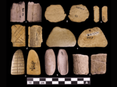 O cassino original? Como os dados dos nativos americanos de 12.000 anos poderiam derrubar os debates tribais modernos sobre jogos de azar Captura de tela mostrando artefatos de dados antigos dos nativos americanos ao lado de uma interface de negociação digital, ilustrando o contraste entre as primeiras ferramentas de jogos de azar e os mercados de previsão modernos que impactam as leis tribais de jogos. Como os dados dos nativos americanos poderiam remodelar a lei tribal do jogo